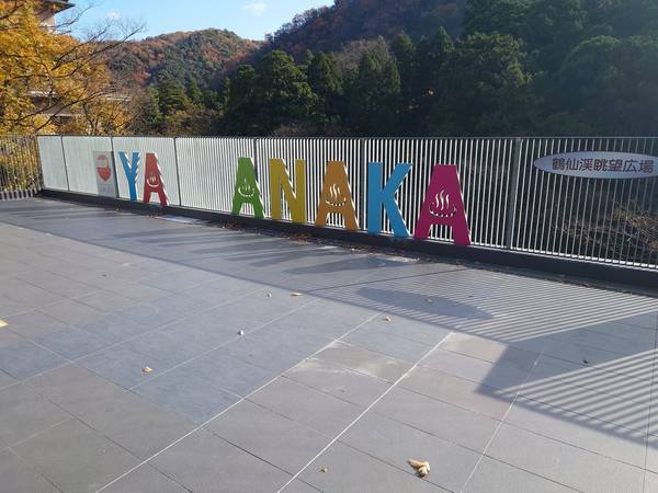 f:id:Kuunyan_takashi:20201119142202j:plain