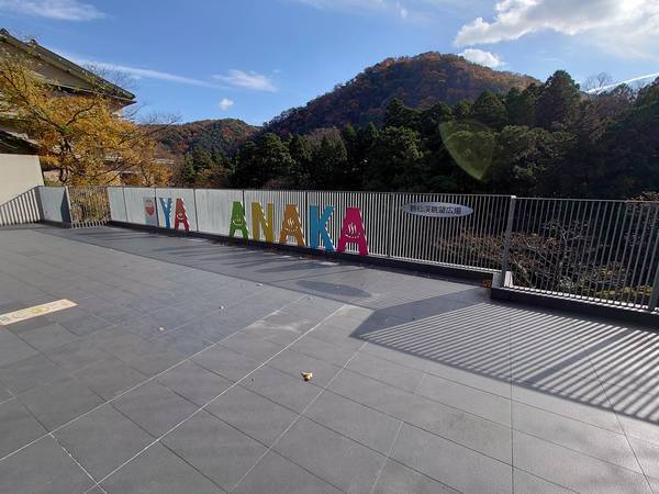 f:id:Kuunyan_takashi:20201119142213j:plain