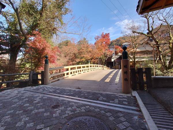 f:id:Kuunyan_takashi:20201119145249j:plain