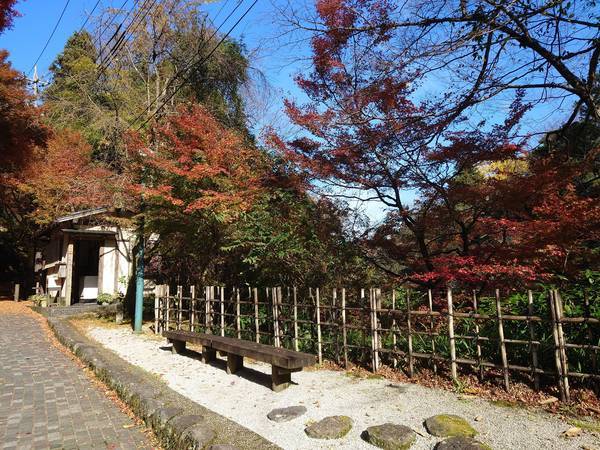 f:id:Kuunyan_takashi:20201119150543j:plain