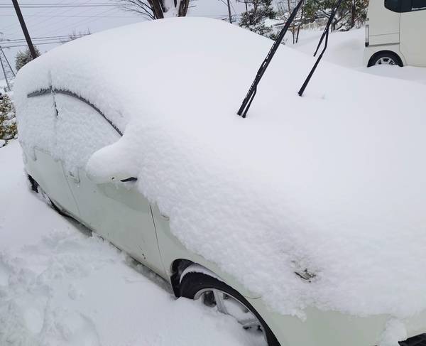 f:id:Kuunyan_takashi:20210110173357j:plain