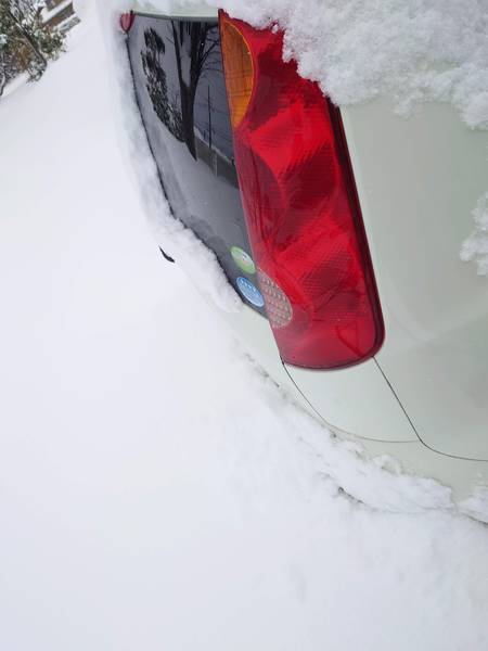 f:id:Kuunyan_takashi:20210110173408j:plain