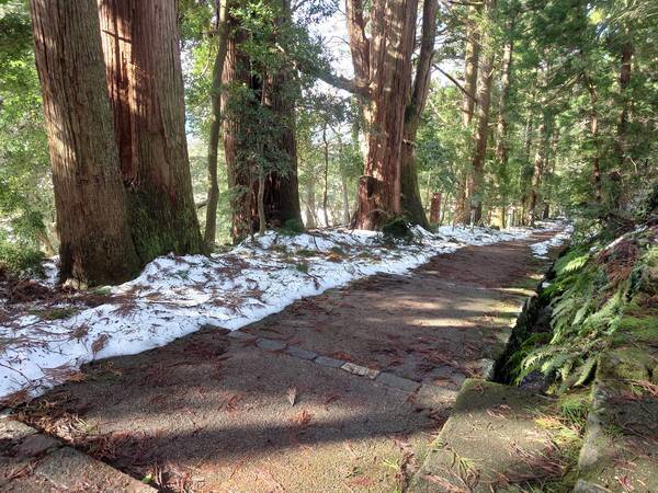 f:id:Kuunyan_takashi:20210125145426j:plain