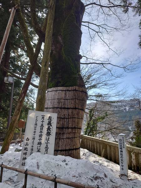 f:id:Kuunyan_takashi:20210125145635j:plain