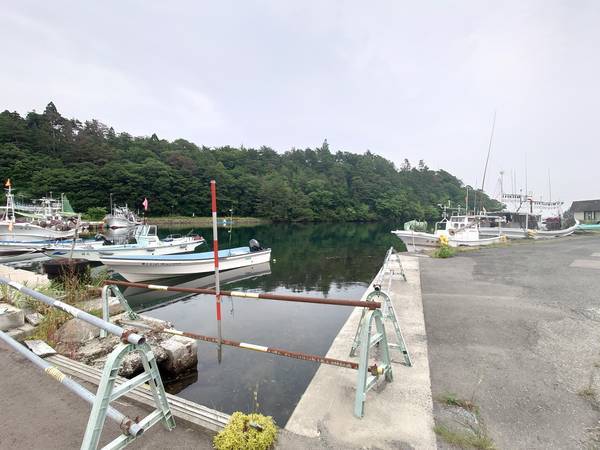 f:id:Kuunyan_takashi:20210609110408j:plain