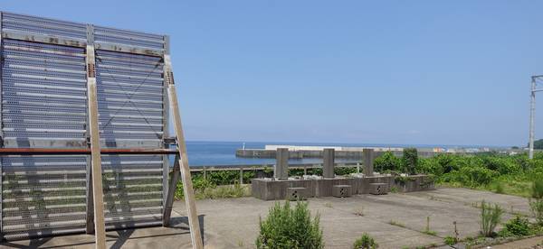 f:id:Kuunyan_takashi:20210802130339j:plain