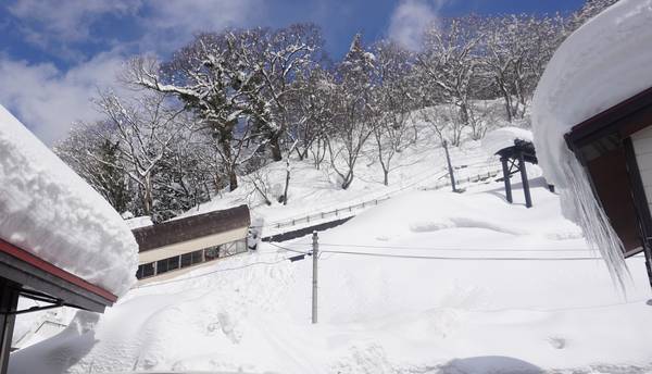 f:id:Kuunyan_takashi:20220302153602j:plain
