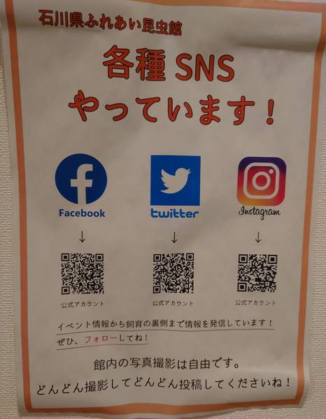 f:id:Kuunyan_takashi:20220317152726j:plain