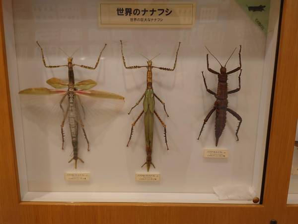 f:id:Kuunyan_takashi:20220317152905j:plain