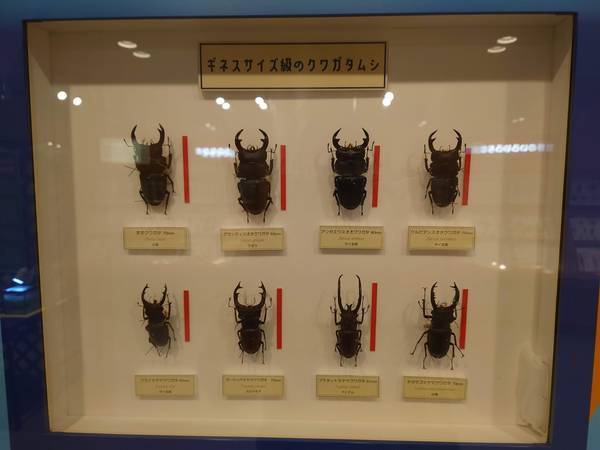 f:id:Kuunyan_takashi:20220317152922j:plain