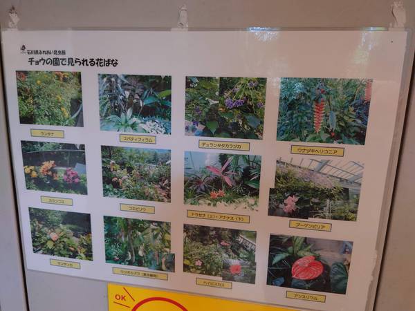 f:id:Kuunyan_takashi:20220317153218j:plain