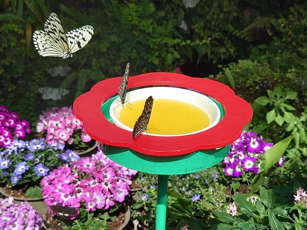 f:id:Kuunyan_takashi:20220317153452j:plain