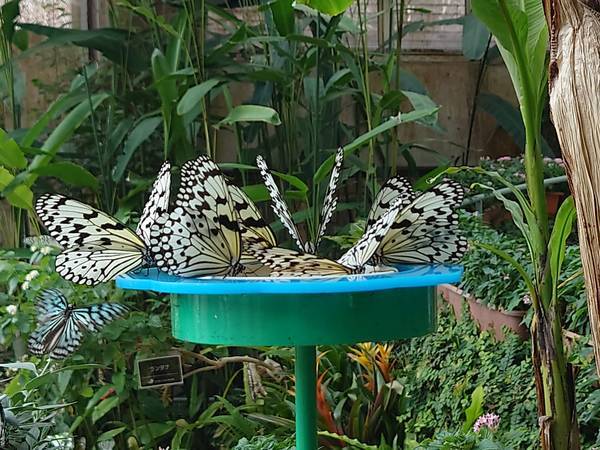 f:id:Kuunyan_takashi:20220317153725j:plain