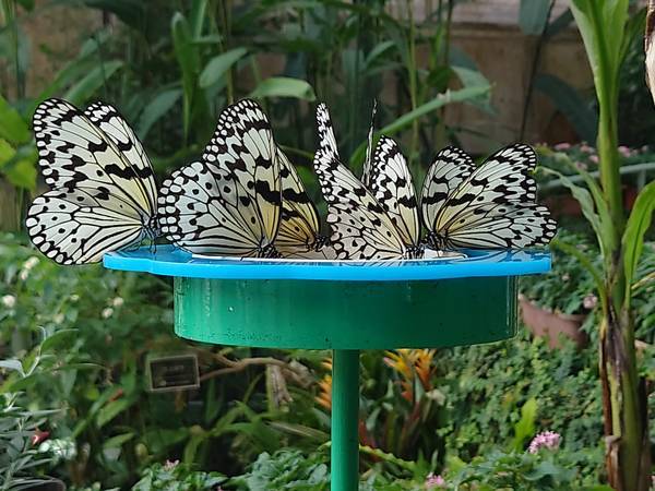 f:id:Kuunyan_takashi:20220317153736j:plain