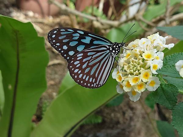 f:id:Kuunyan_takashi:20220317153744j:plain