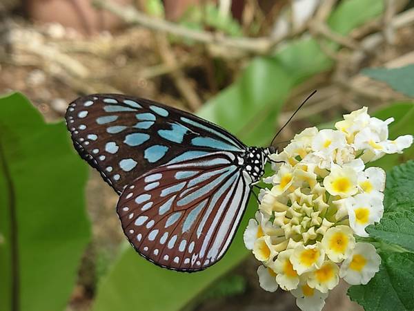 f:id:Kuunyan_takashi:20220317153821j:plain