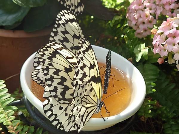 f:id:Kuunyan_takashi:20220317153905j:plain