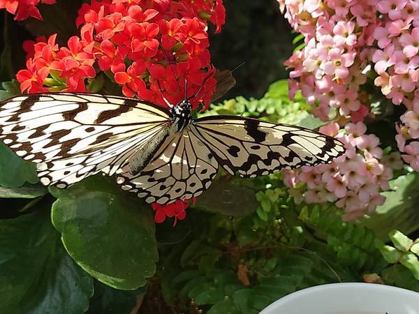 f:id:Kuunyan_takashi:20220317153912j:plain