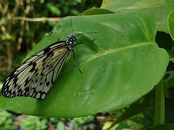 f:id:Kuunyan_takashi:20220317153920j:plain