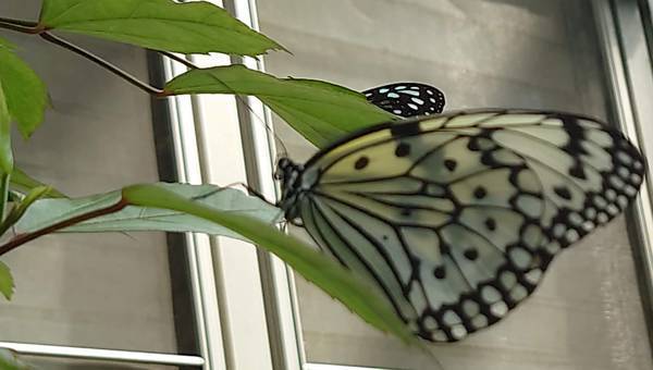 f:id:Kuunyan_takashi:20220317153942j:plain