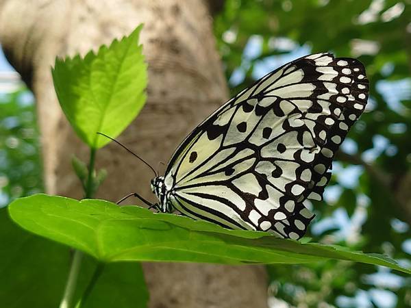 f:id:Kuunyan_takashi:20220317154015j:plain