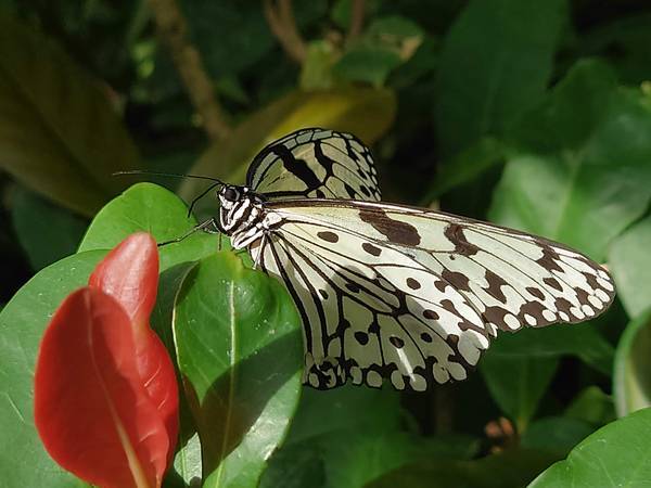 f:id:Kuunyan_takashi:20220317154022j:plain