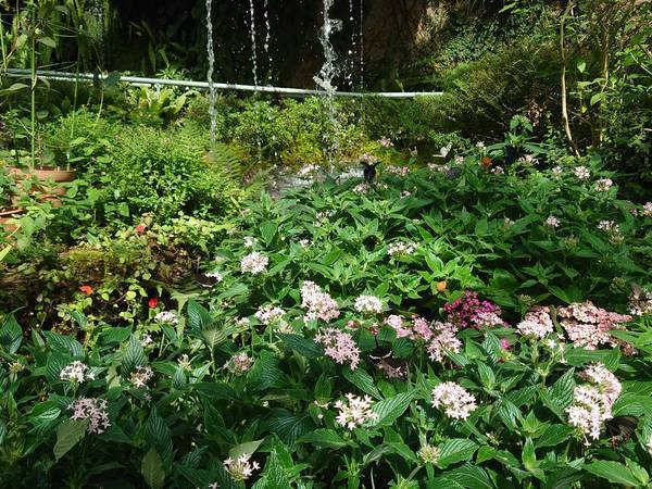 f:id:Kuunyan_takashi:20220317154031j:plain