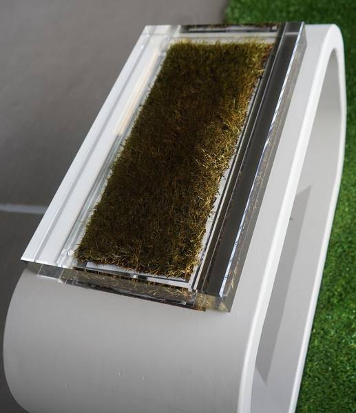 f:id:Kuunyan_takashi:20220406144024j:plain