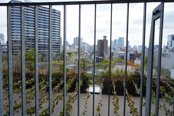 f:id:Kuunyan_takashi:20220406144029j:plain