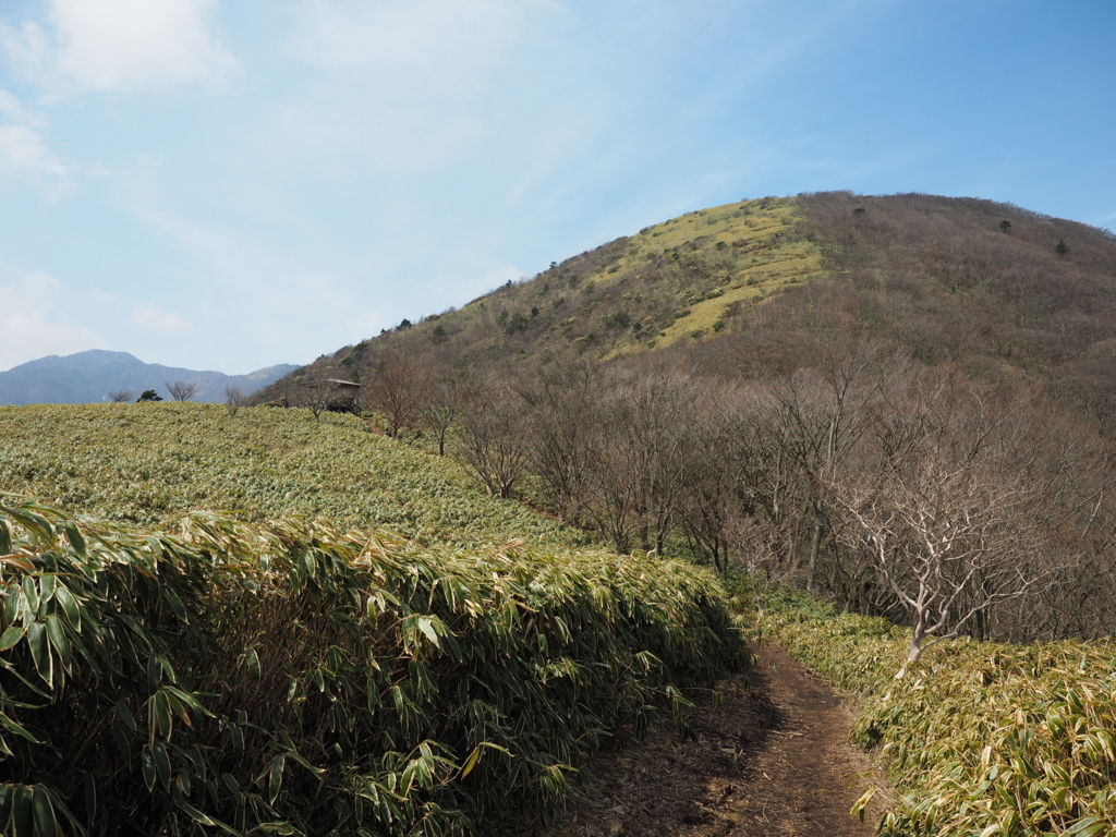 f:id:Kyo_Ichikawa:20160413201733j:plain