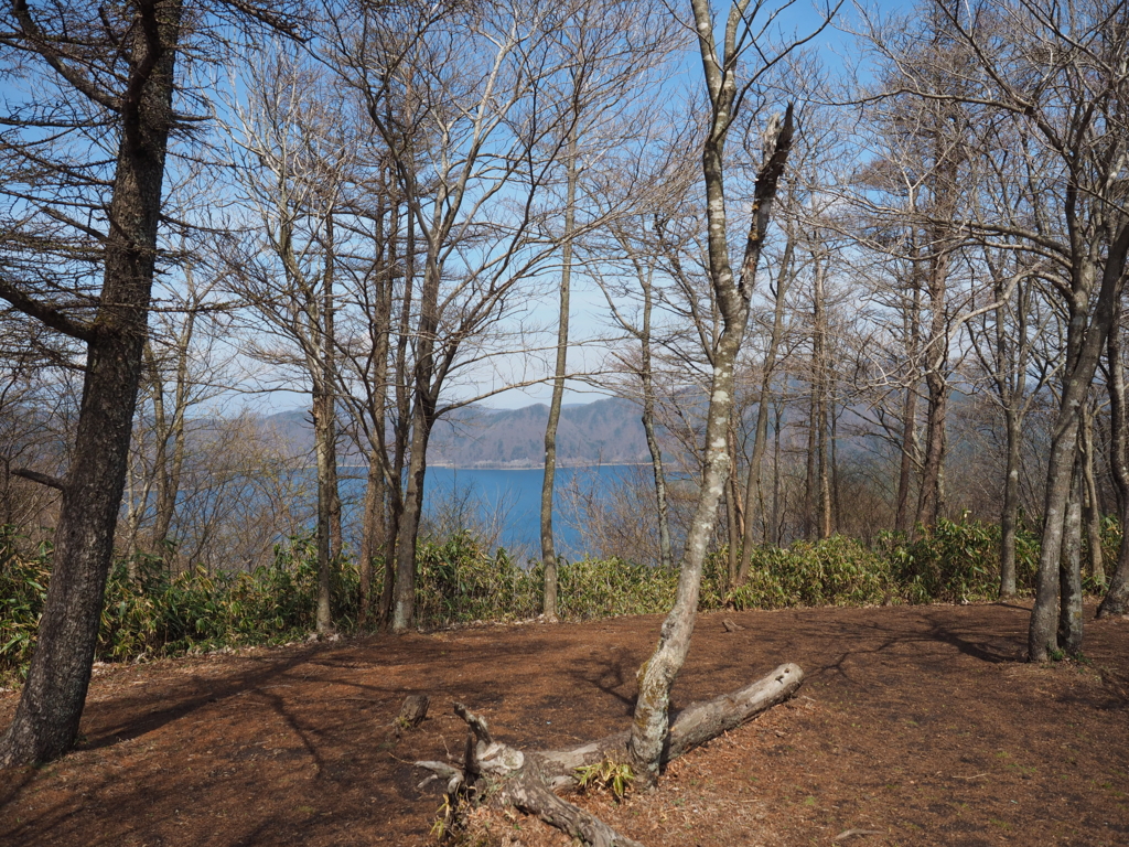 f:id:Kyo_Ichikawa:20160413202941j:plain