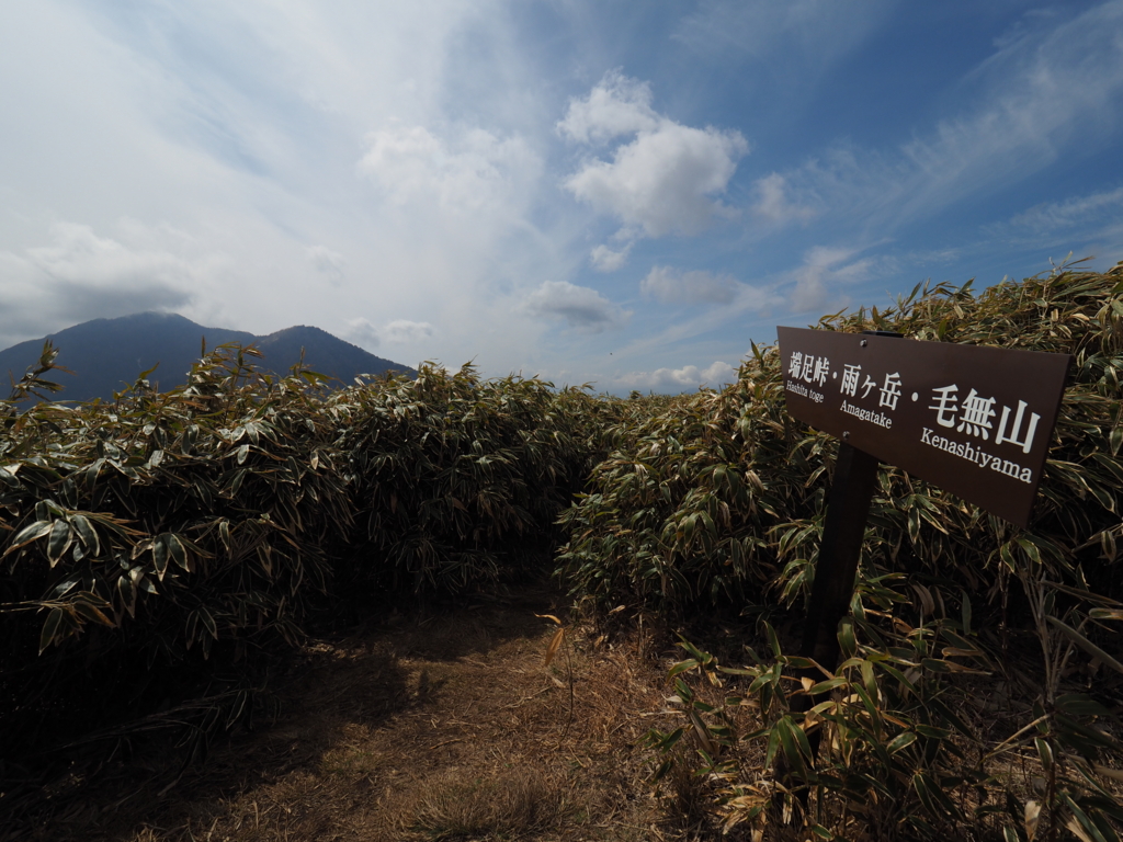 f:id:Kyo_Ichikawa:20160413203948j:plain