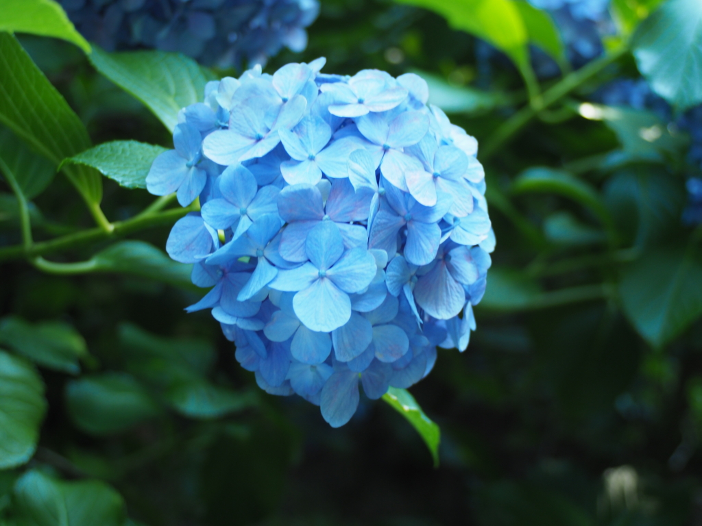 f:id:Kyo_Ichikawa:20160626174400j:plain