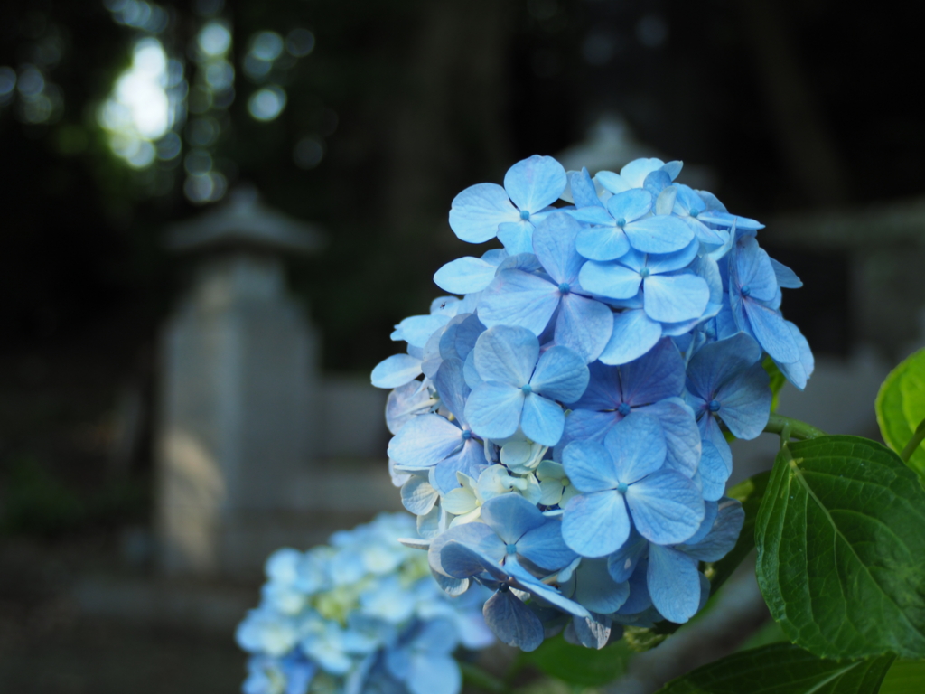 f:id:Kyo_Ichikawa:20160626181629j:plain