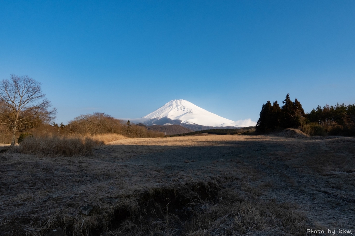 f:id:Kyo_Ichikawa:20190316100005j:plain