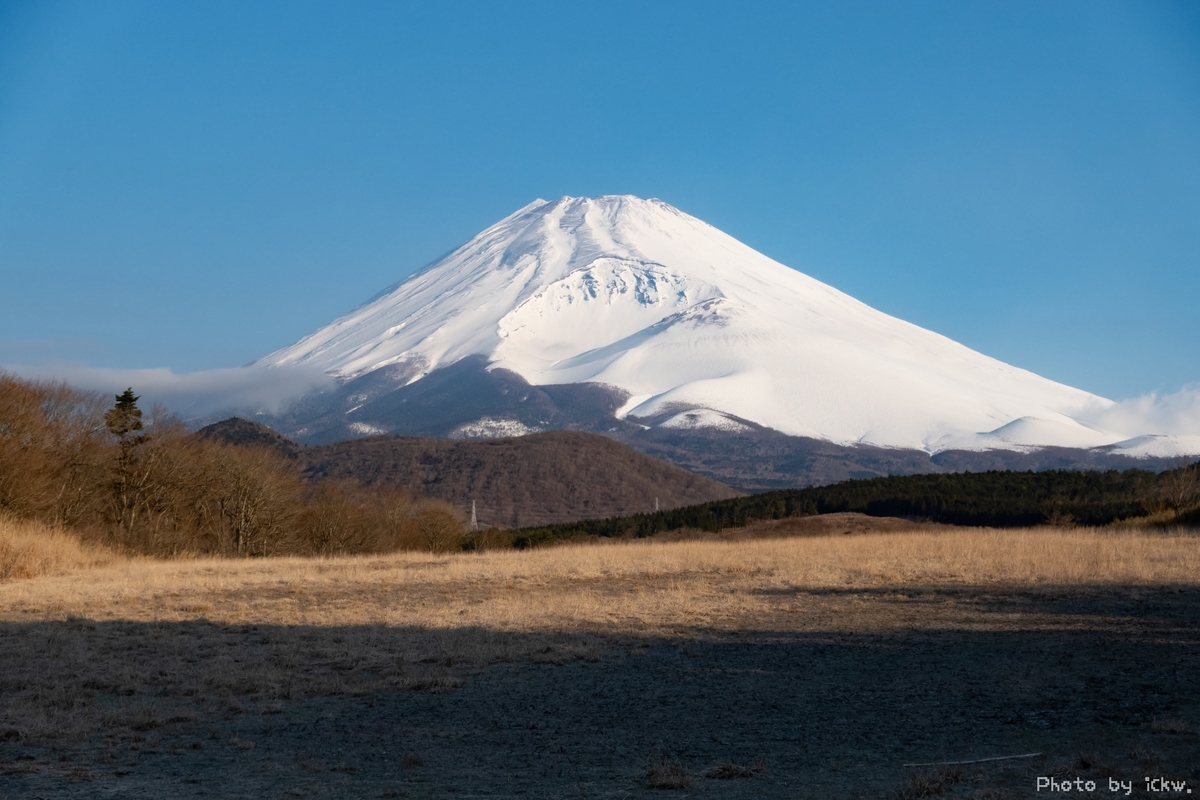 f:id:Kyo_Ichikawa:20190316100448j:plain