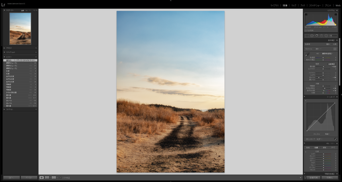 f:id:Kyo_Ichikawa:20190316102003p:plain