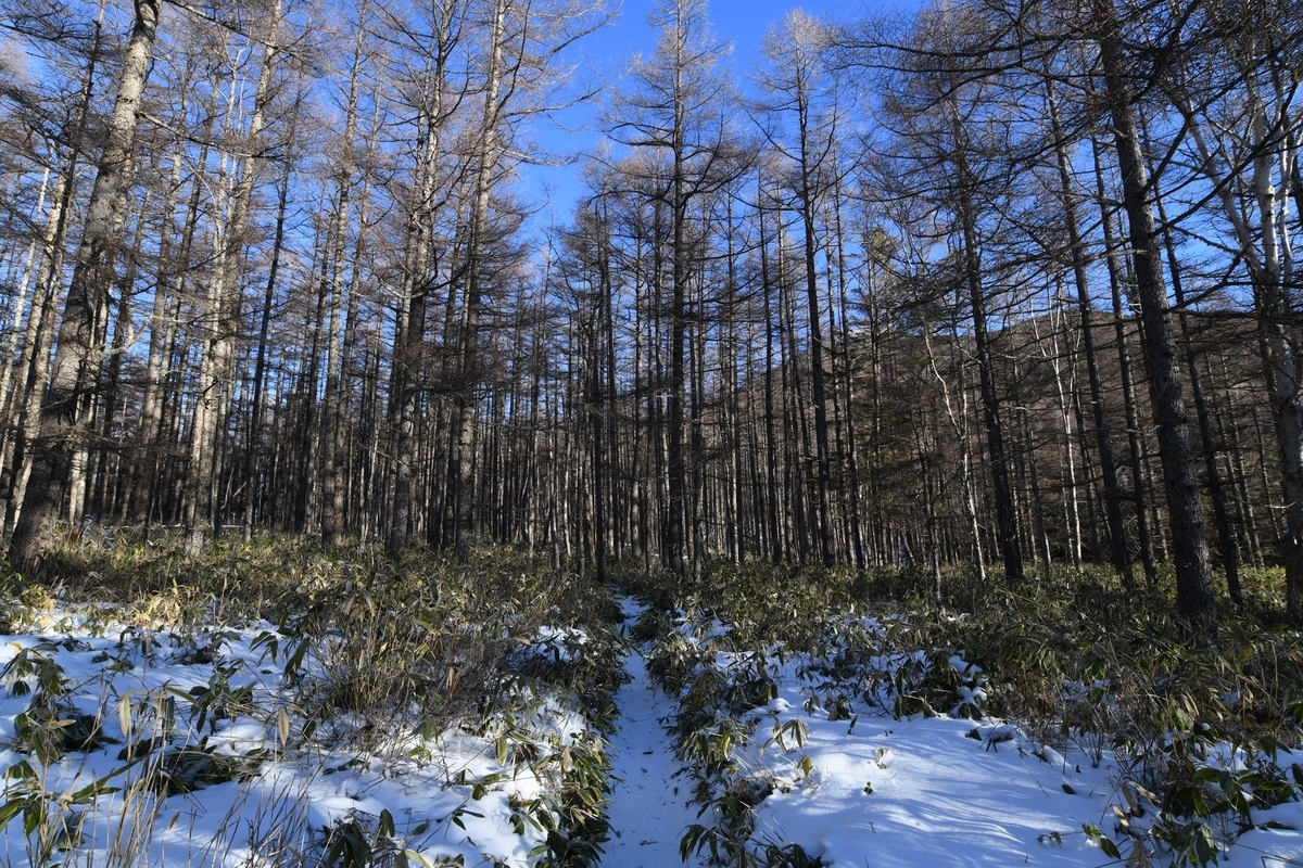 f:id:Kyo_Ichikawa:20190409030239j:plain