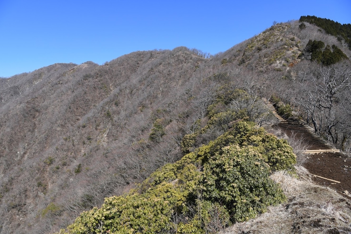 f:id:Kyo_Ichikawa:20190415202144j:plain f:id:Kyo_Ichikawa:20190415202144j:plain