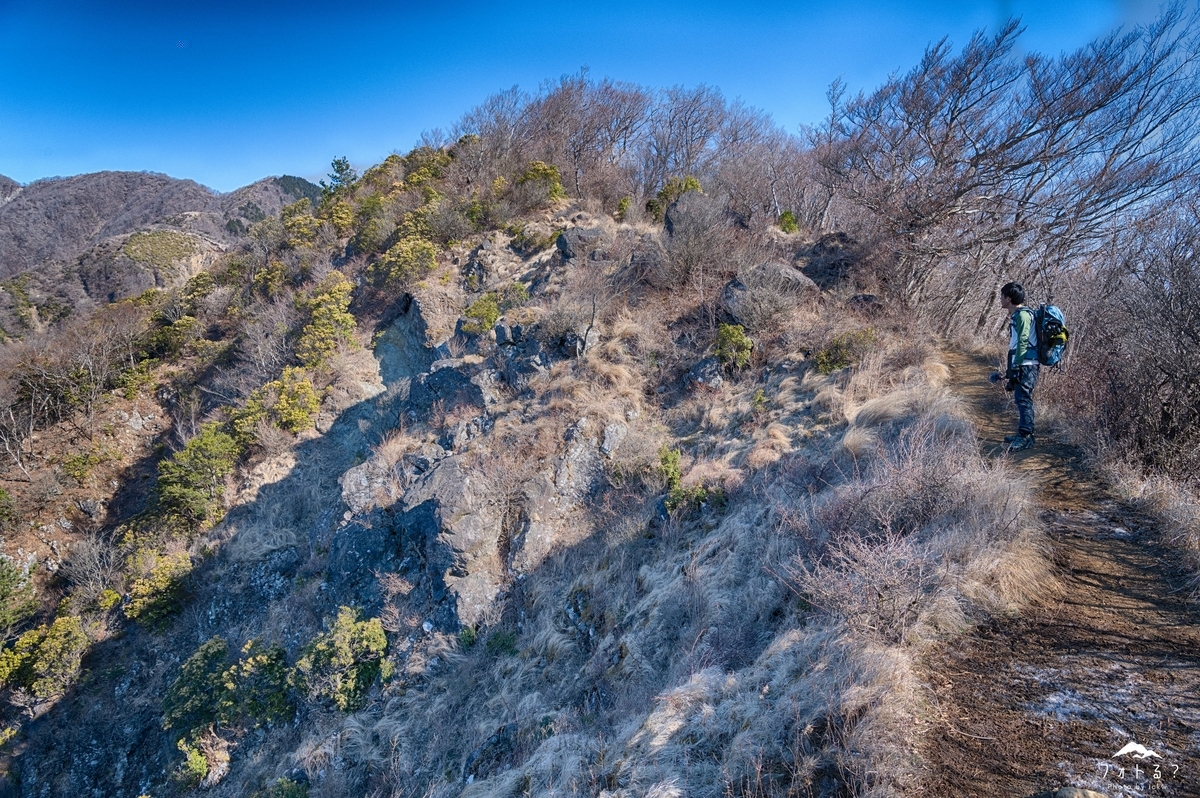 f:id:Kyo_Ichikawa:20190415224646j:plain