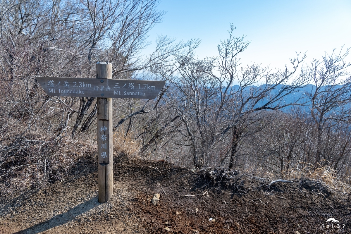 f:id:Kyo_Ichikawa:20190415224827j:plain