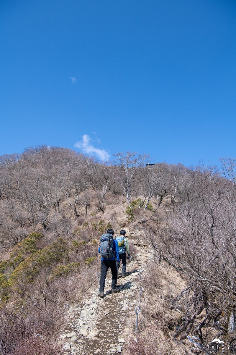 f:id:Kyo_Ichikawa:20190415230323j:plain