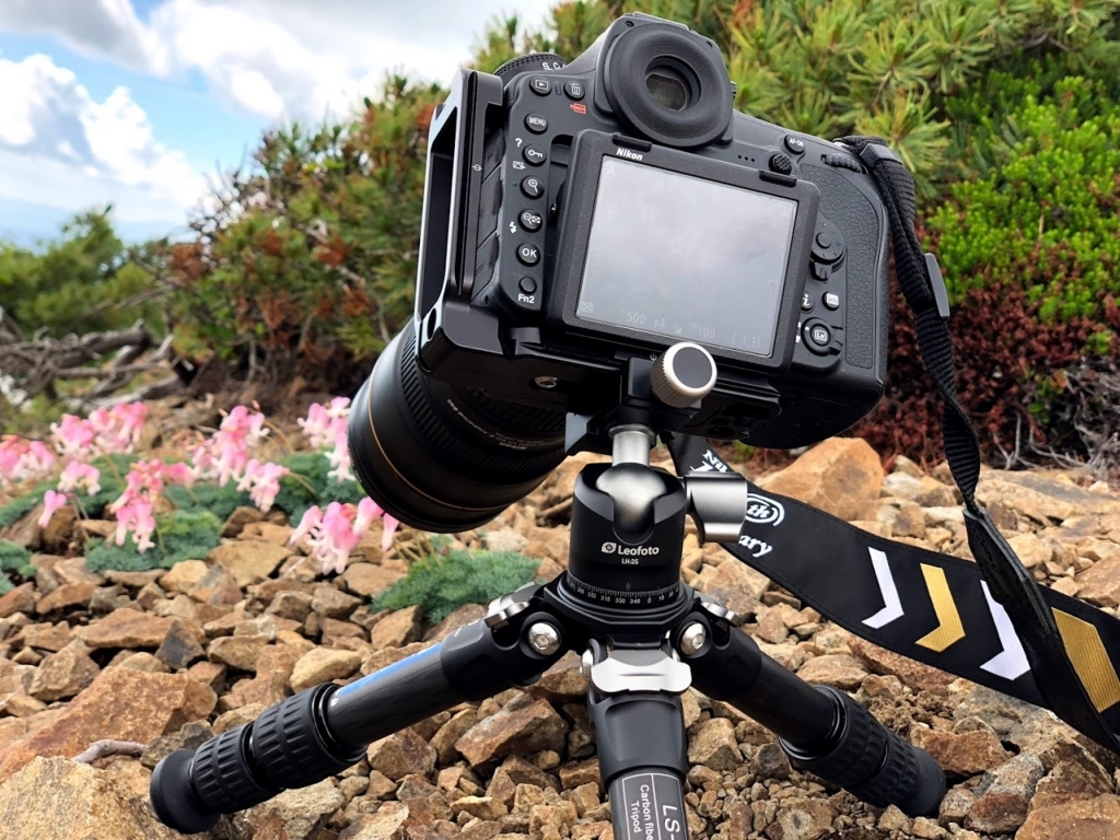 f:id:Kyo_Ichikawa:20200525213600j:plain