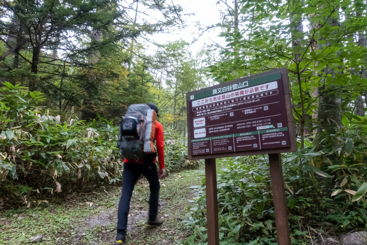 さる 2様 リクエスト 2点 まとめ商品 あざみ様 リクエスト 2点 まとめ商品