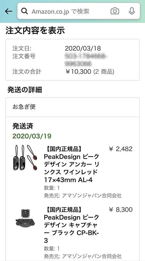 f:id:Kyo_Ichikawa:20210110102510j:plain