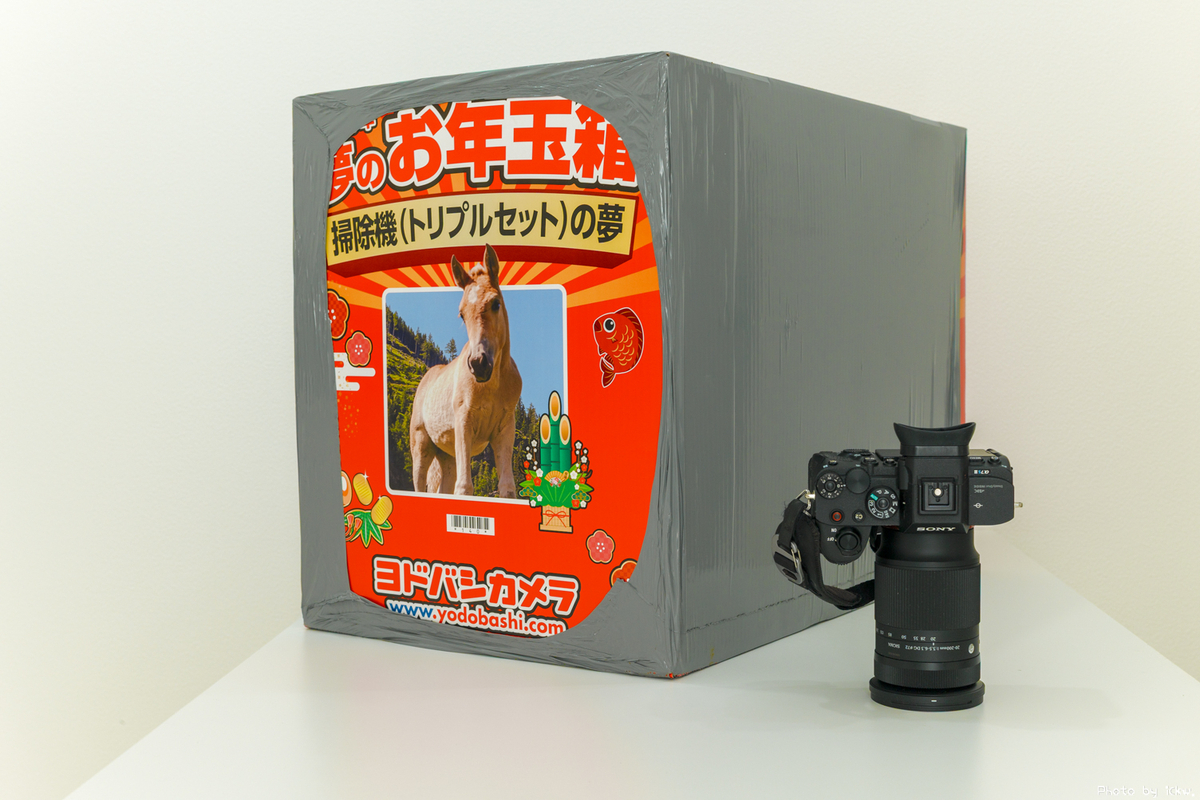 ヨドバシカメラ　福袋 2025年 2025年ヨドバシカメラ福袋値下げしました！