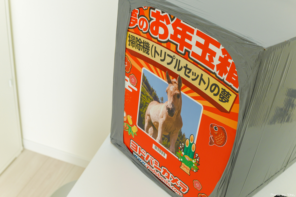 ヨドバシ2026福袋「掃除機トリプルセットの夢」が届いたので中身を開封