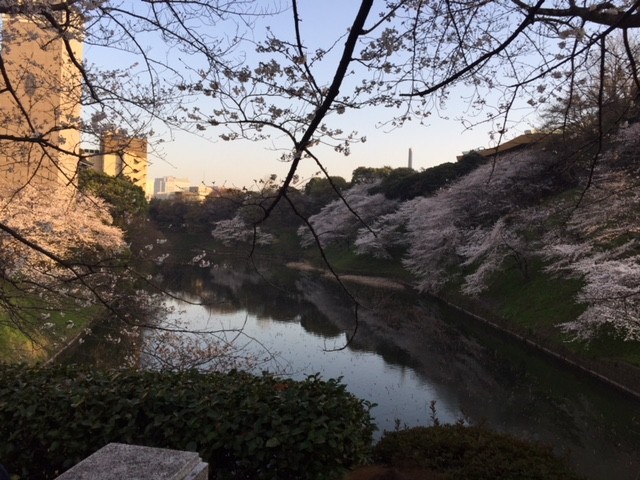 f:id:KyojiOhno:20180326171137j:plain f:id:KyojiOhno:20180326171137j:plain