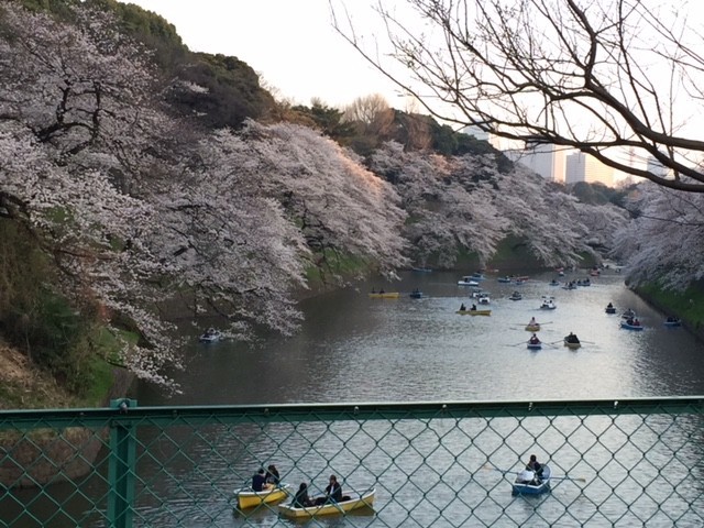 f:id:KyojiOhno:20180326172752j:plain f:id:KyojiOhno:20180326172752j:plain