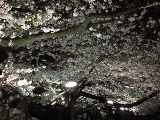 f:id:KyojiOhno:20180326185932j:plain f:id:KyojiOhno:20180326185932j:plain